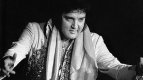 Takhle vypadal Elvis krátce před smrtí...