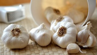 Česnek: Přírodní antibiotikum