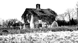 Nevyjasněná vražda Rose Harsent