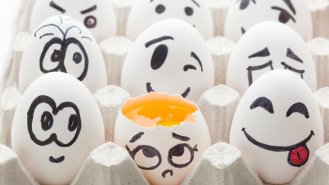 Velký vajíčkový průvodce