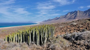Fuerteventura: Ideální místo pro podzimní dovolenou