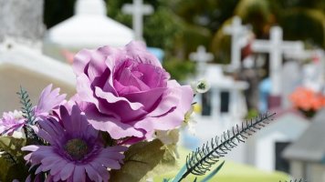 Příběh Lenky (45): Dušičky a nejnepravděpodobnější místo k seznámení