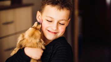 6 pravidel soužití dětí a štěňat