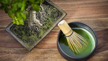 7 důvodů, proč pít Matcha Tea