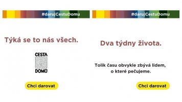 Cesta domů
