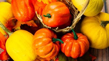 Dýně: Podzimní královna české kuchyně