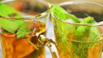 Ozdravná NEJ pro nastávající zimu