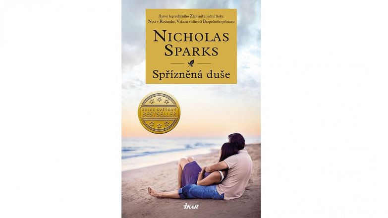 Spřízněná duše