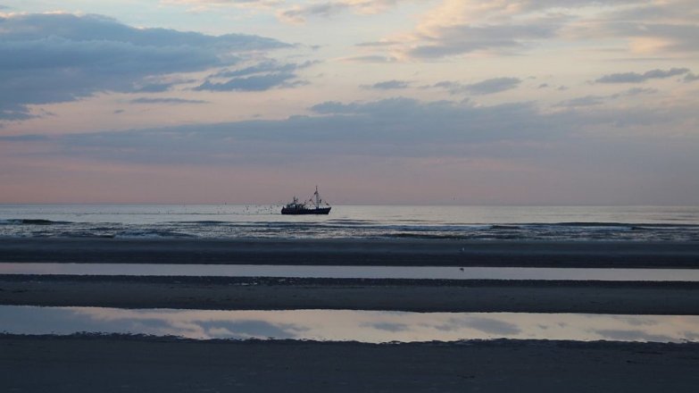 Patrick McDermott: Patnáct let od zmizení bývalého přítele Olivie Newton-John