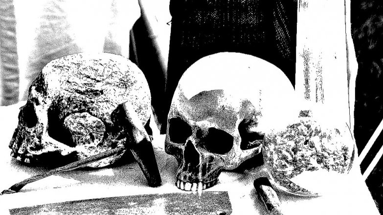 Případ Ilse Moschnerové