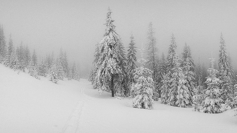 Příběh Zuzany (38): Tajemný muž mě vyvedl z lesa