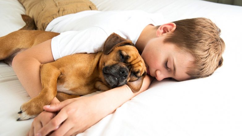 Zajímavosti a fakta o zvířecím spánku