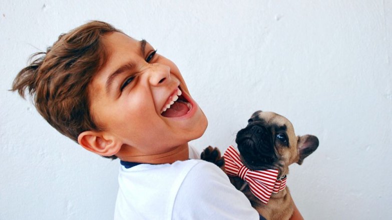 5 rad, než si pořídíte štěně