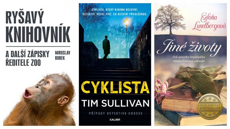 Co si přečíst? Představujeme novinky tohoto týdne