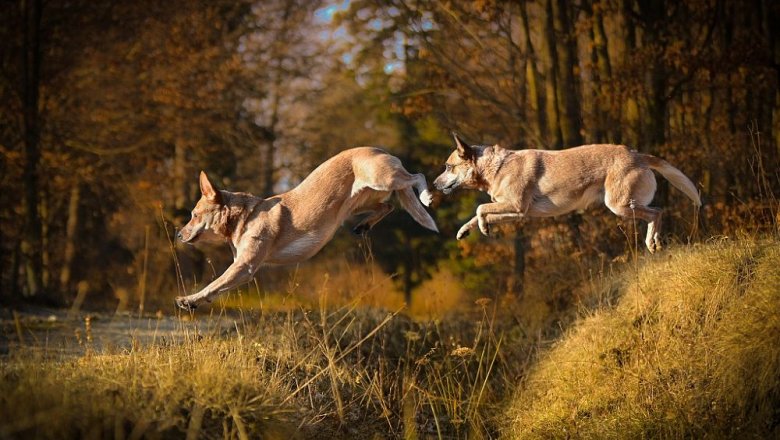 Zvěčněte kouzlo babího léta!