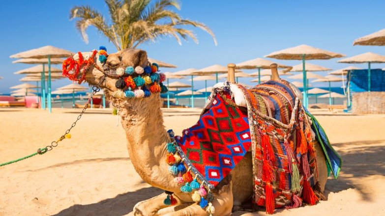 Nádherné pobřeží a fascinující památky na dosah ruky. Vyrazte se ohřát do Egypta