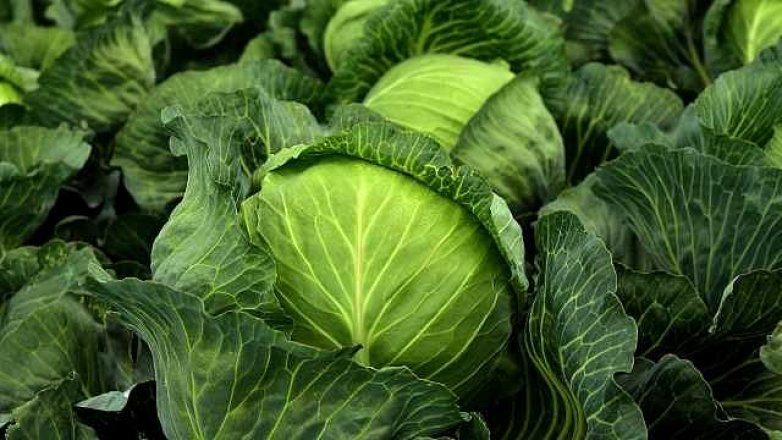 Zelí: Vitaminový koktejl začíná na „z“
