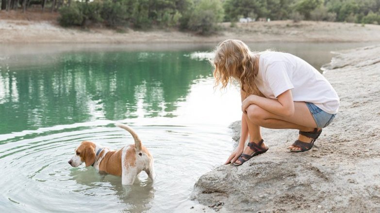 Je každý pes opravdu rozený plavec?