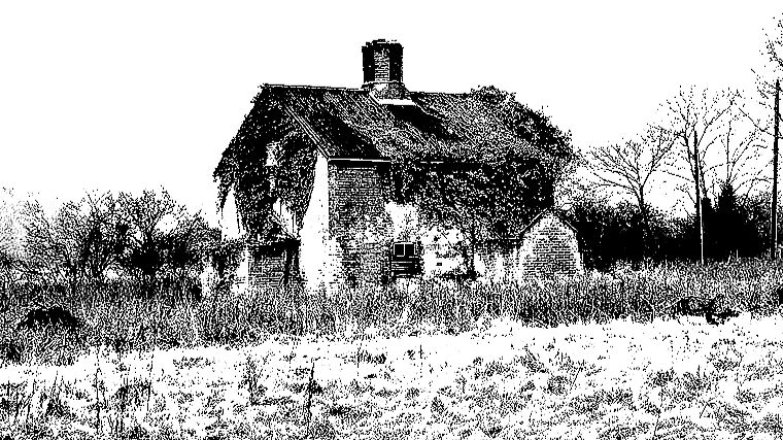 Nevyjasněná vražda Rose Harsent