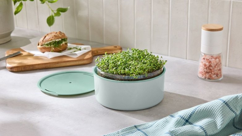 Náš tip: Sada na domácí pěstování microgreens
